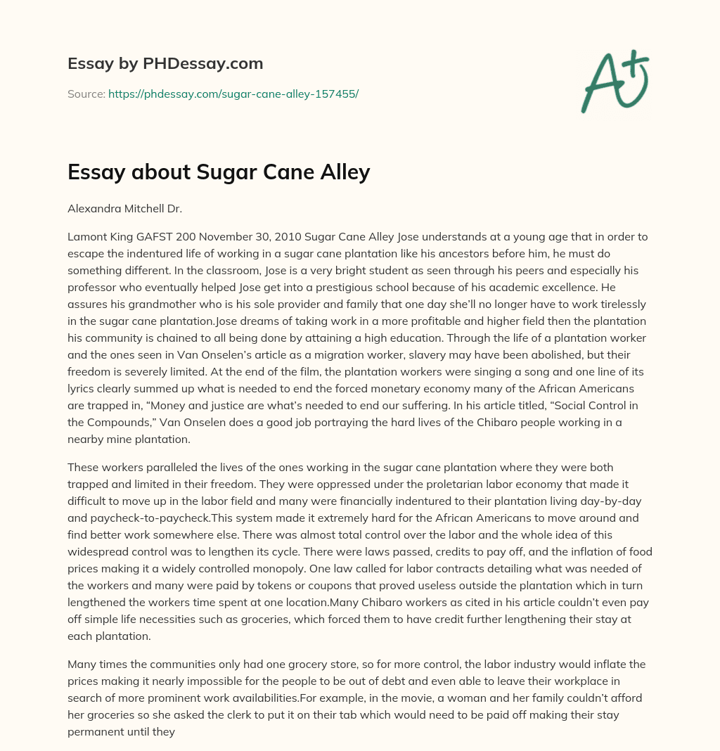 Essay about Sugar Cane Alley essay