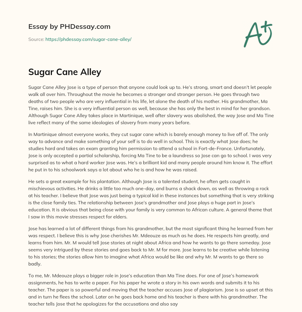  Sugar Cane Alley Analysis And Character Analysis Example PHDessay