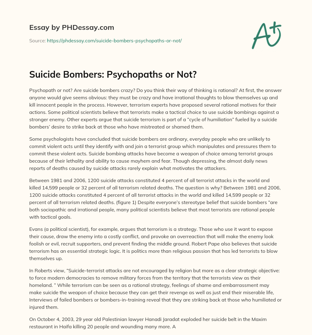 Suicide Bombers: Psychopaths or Not? essay