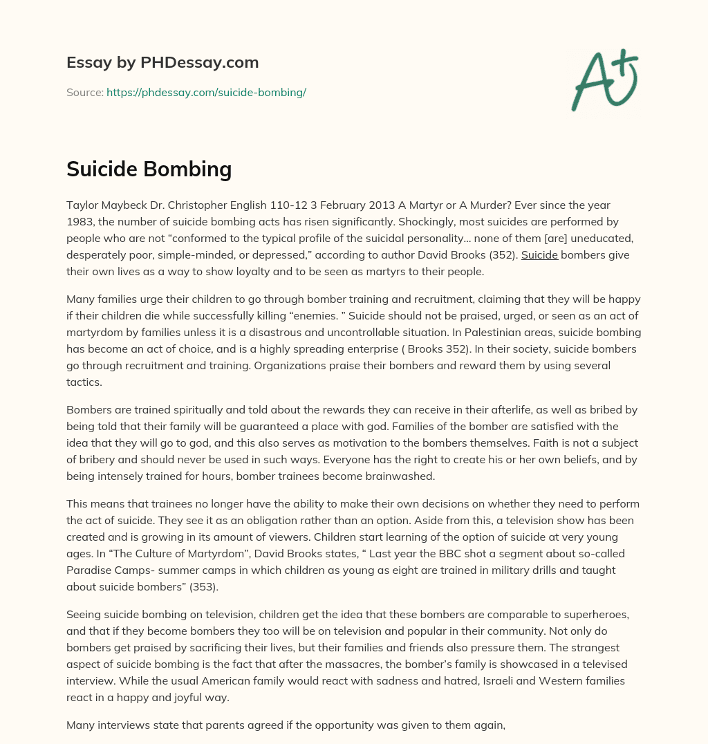 Suicide Bombing essay