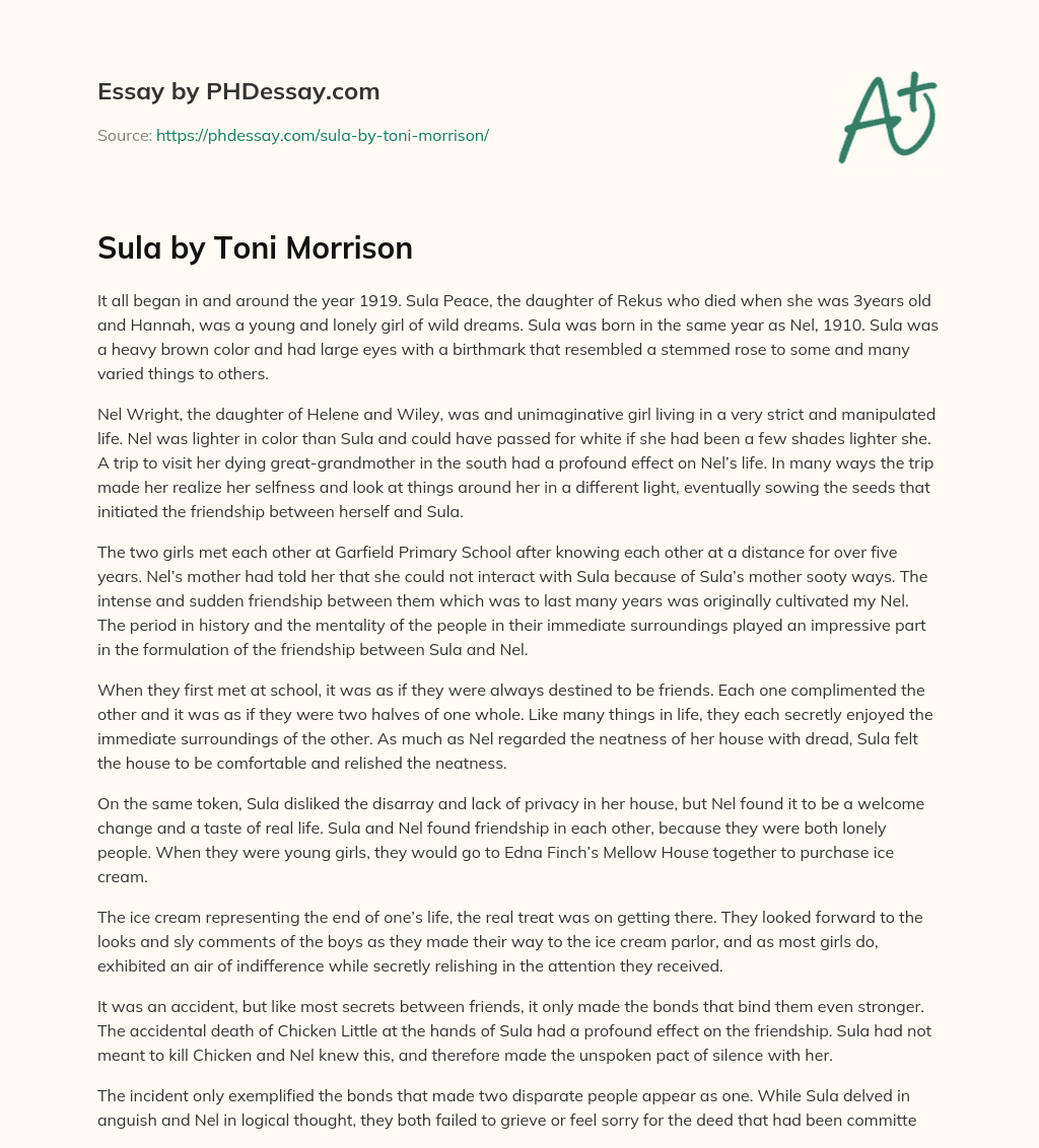 Sula by Toni Morrison essay
