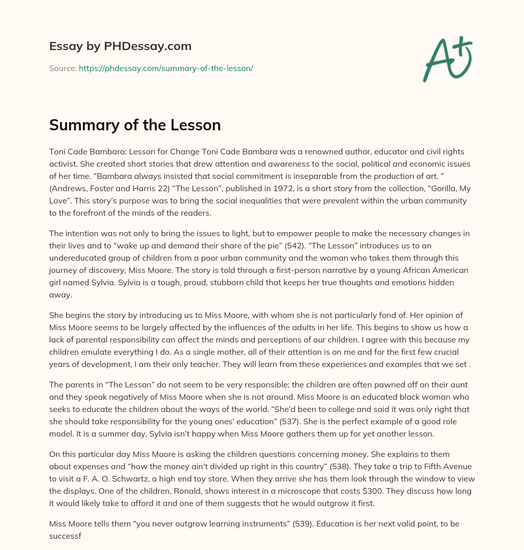 Summary of the Lesson essay