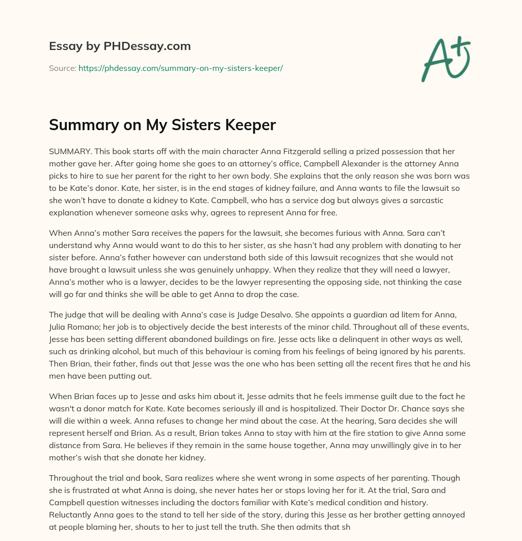 Summary on My Sisters Keeper essay