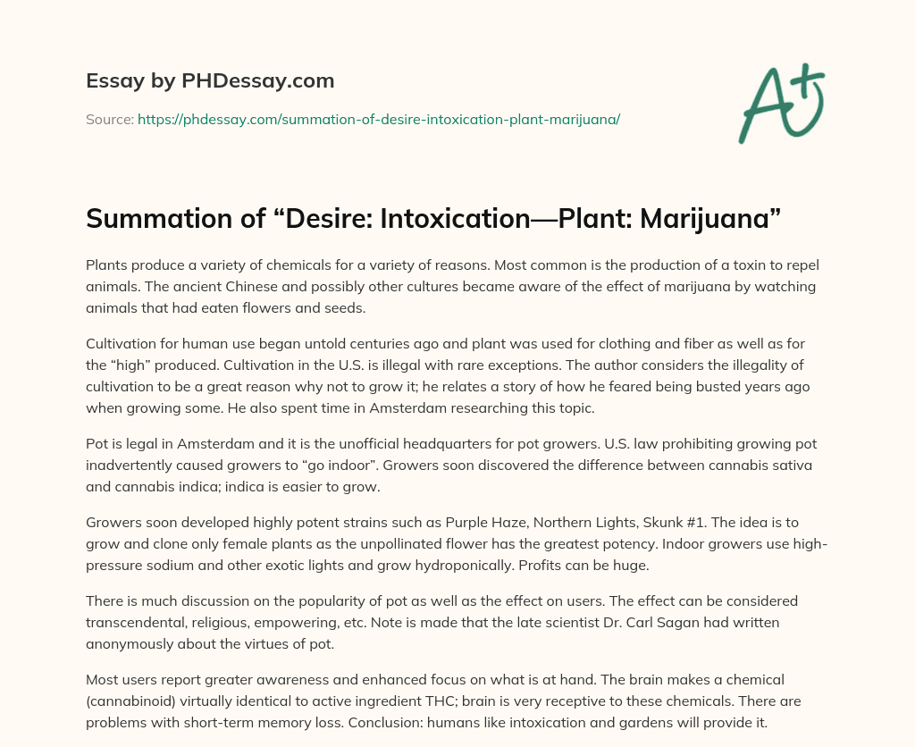 Summation of “Desire: Intoxication—Plant: Marijuana” essay