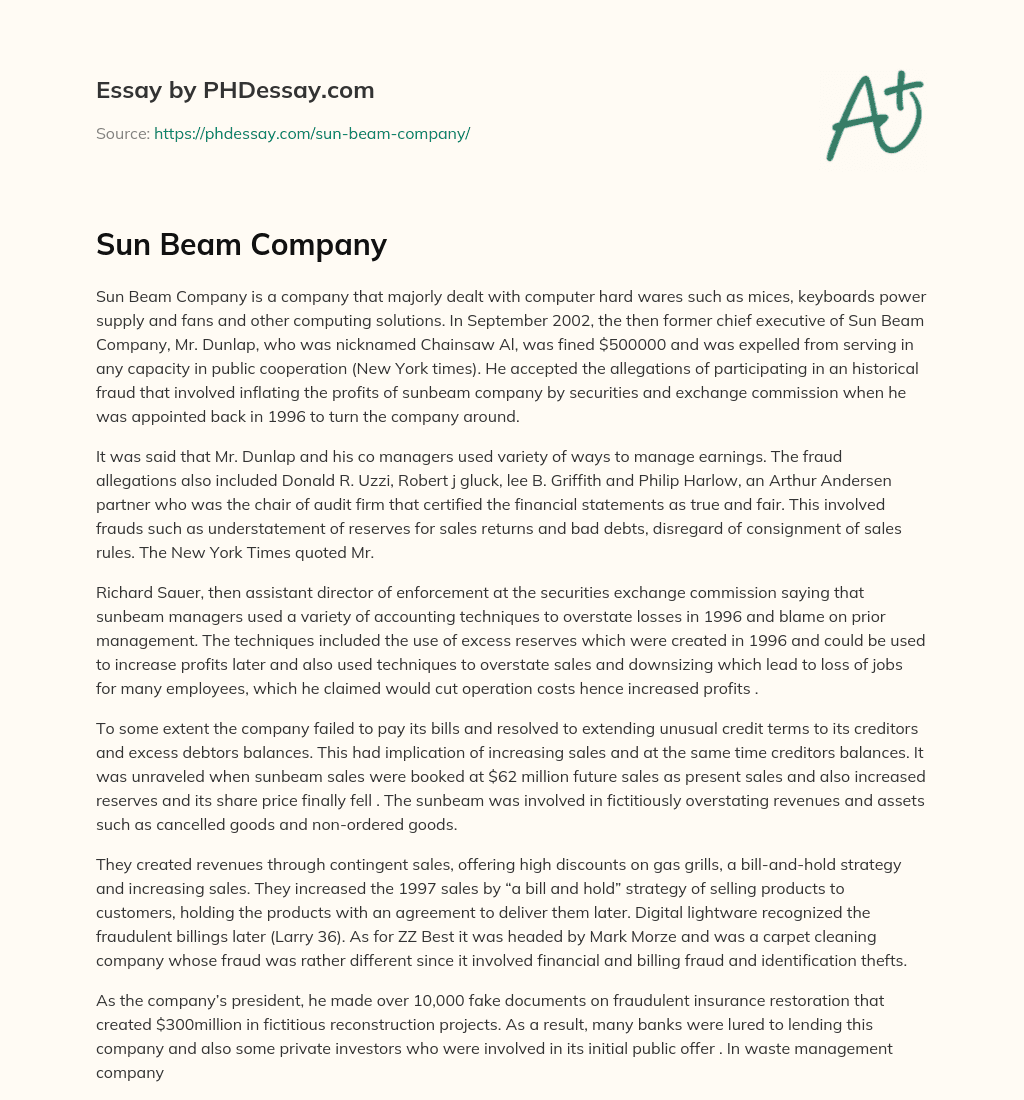 Sun Beam Company essay