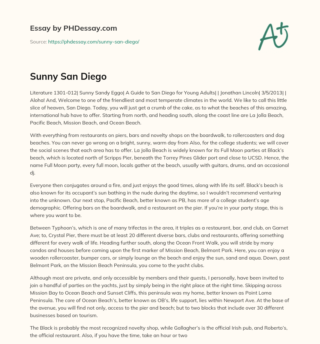 Sunny San Diego essay