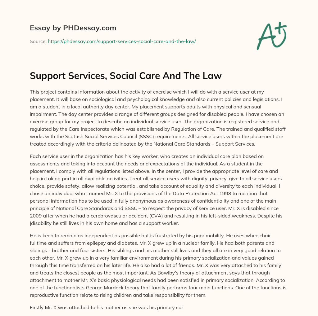 Support Services, Social Care And The Law essay