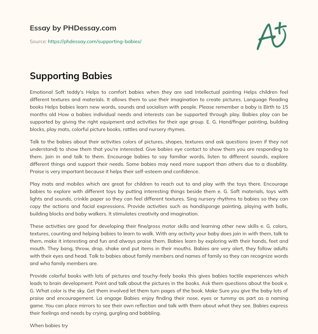 Supporting Babies essay