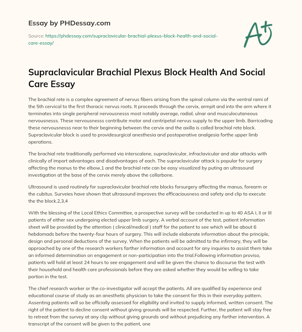 Supraclavicular Brachial Plexus Block Health And Social Care Essay essay