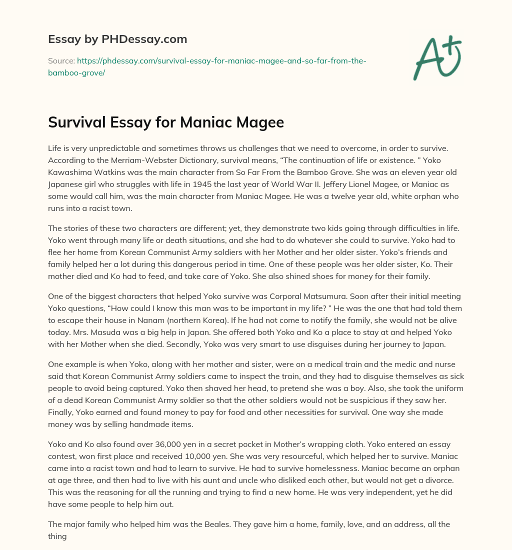 Survival Essay for Maniac Magee essay