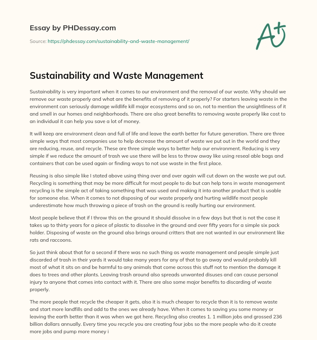 essay based on waste management