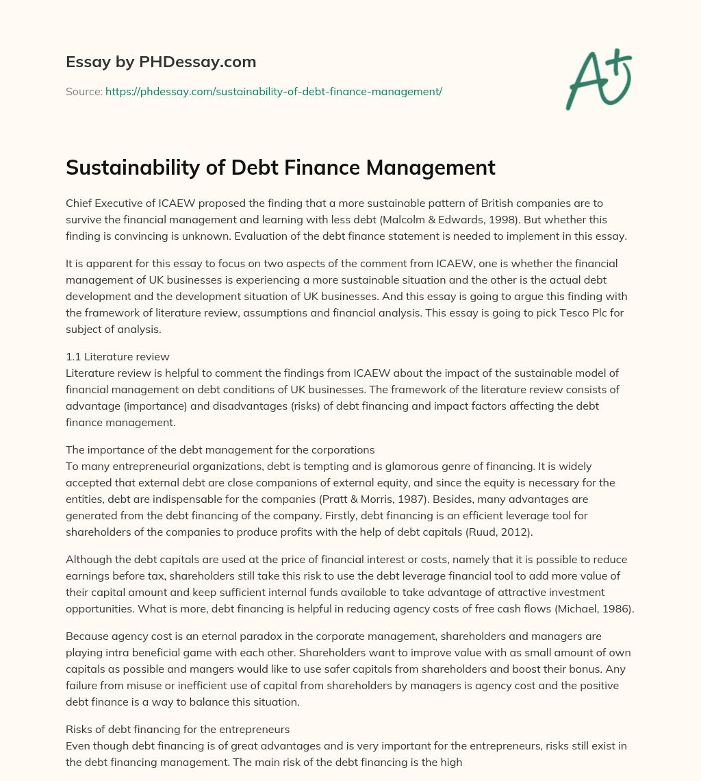 Sustainability of Debt Finance Management essay