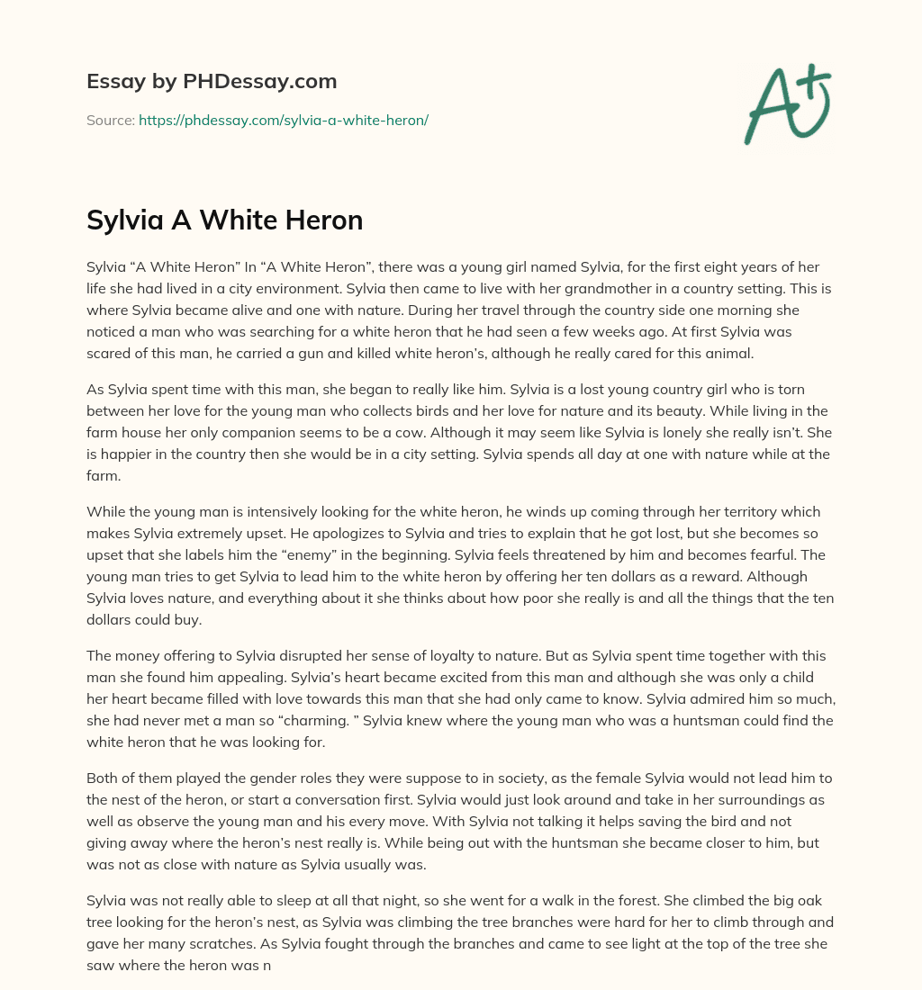 Sylvia A White Heron essay