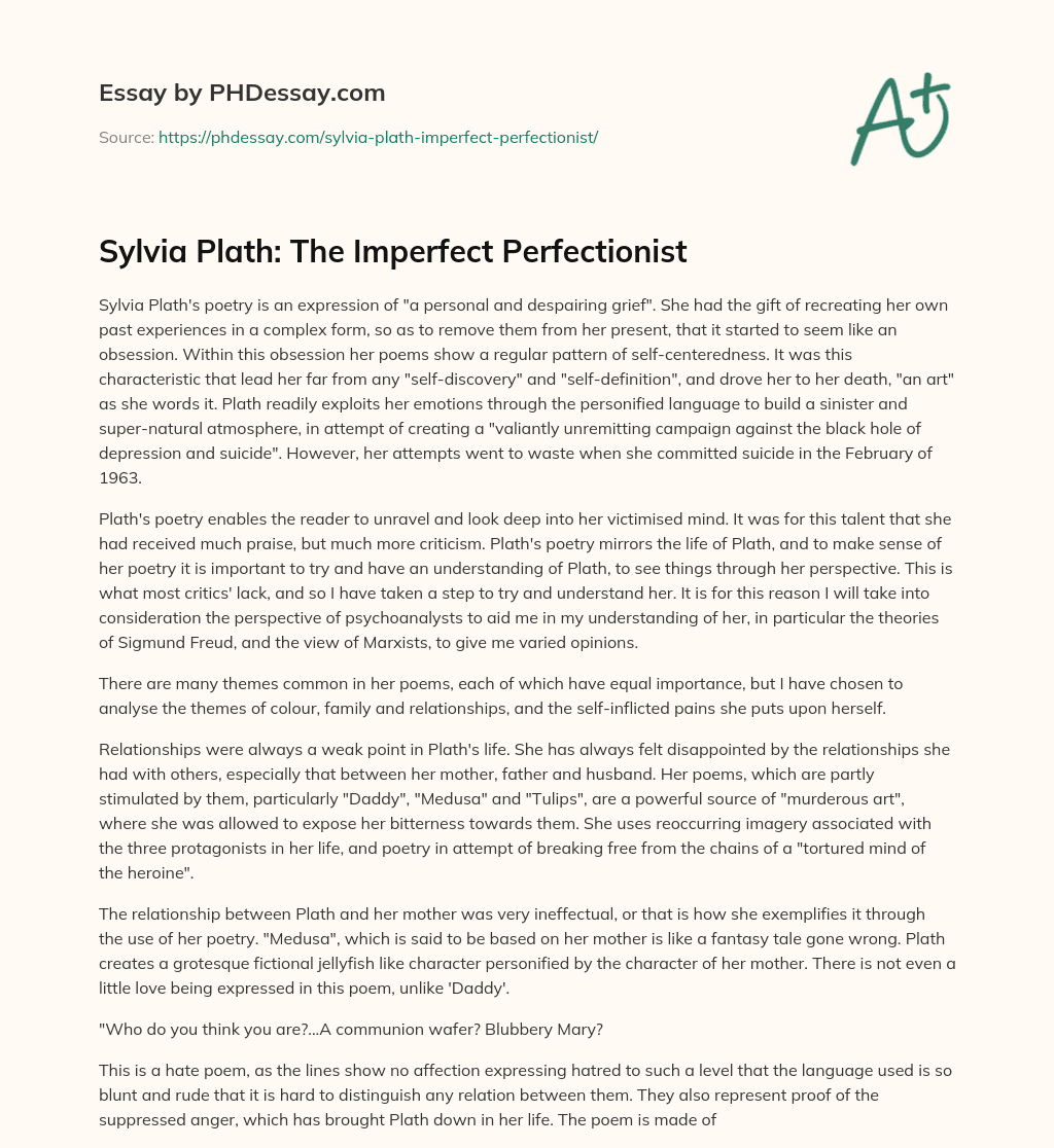 Sylvia Plath: The Imperfect Perfectionist essay