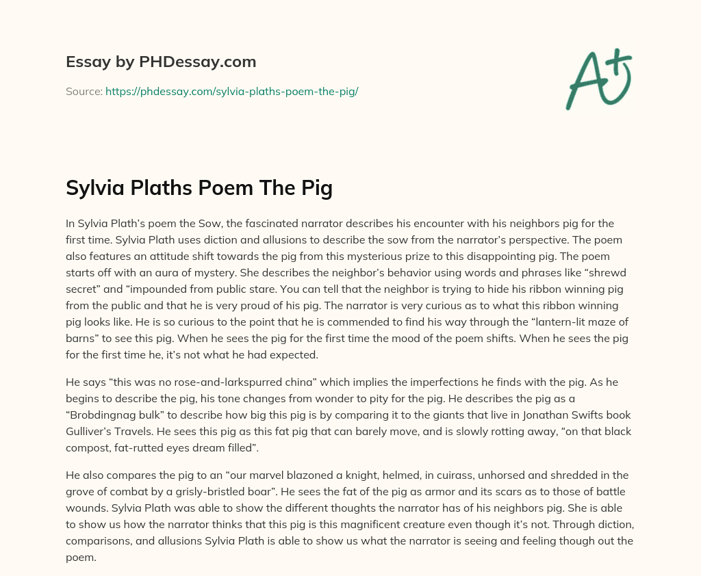 Sylvia Plaths Poem The Pig essay