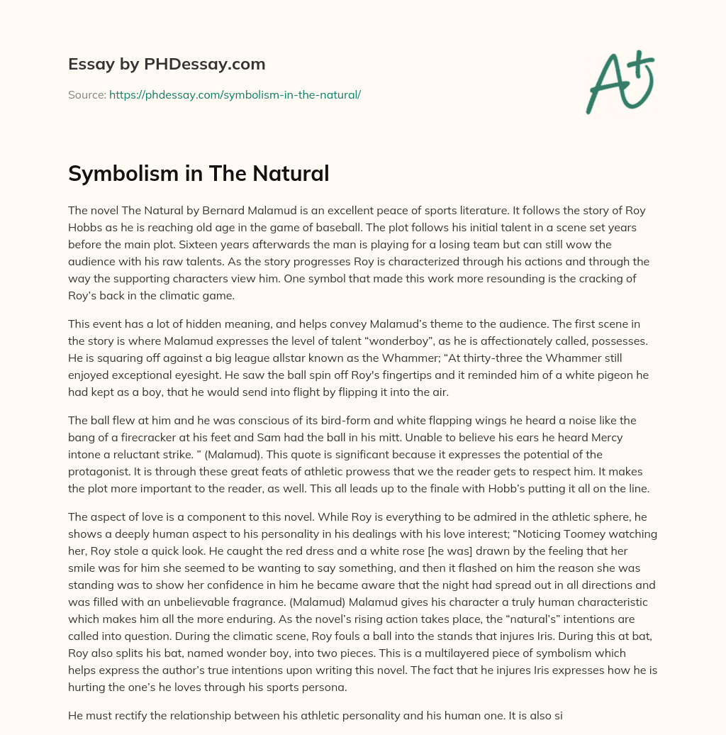 Symbolism in The Natural essay