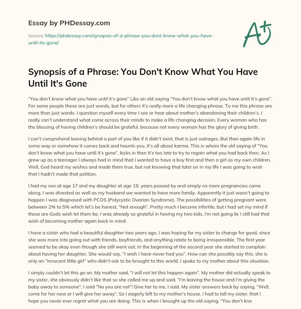 Synopsis of a Phrase: You Don’t Know What You Have Until It’s Gone essay