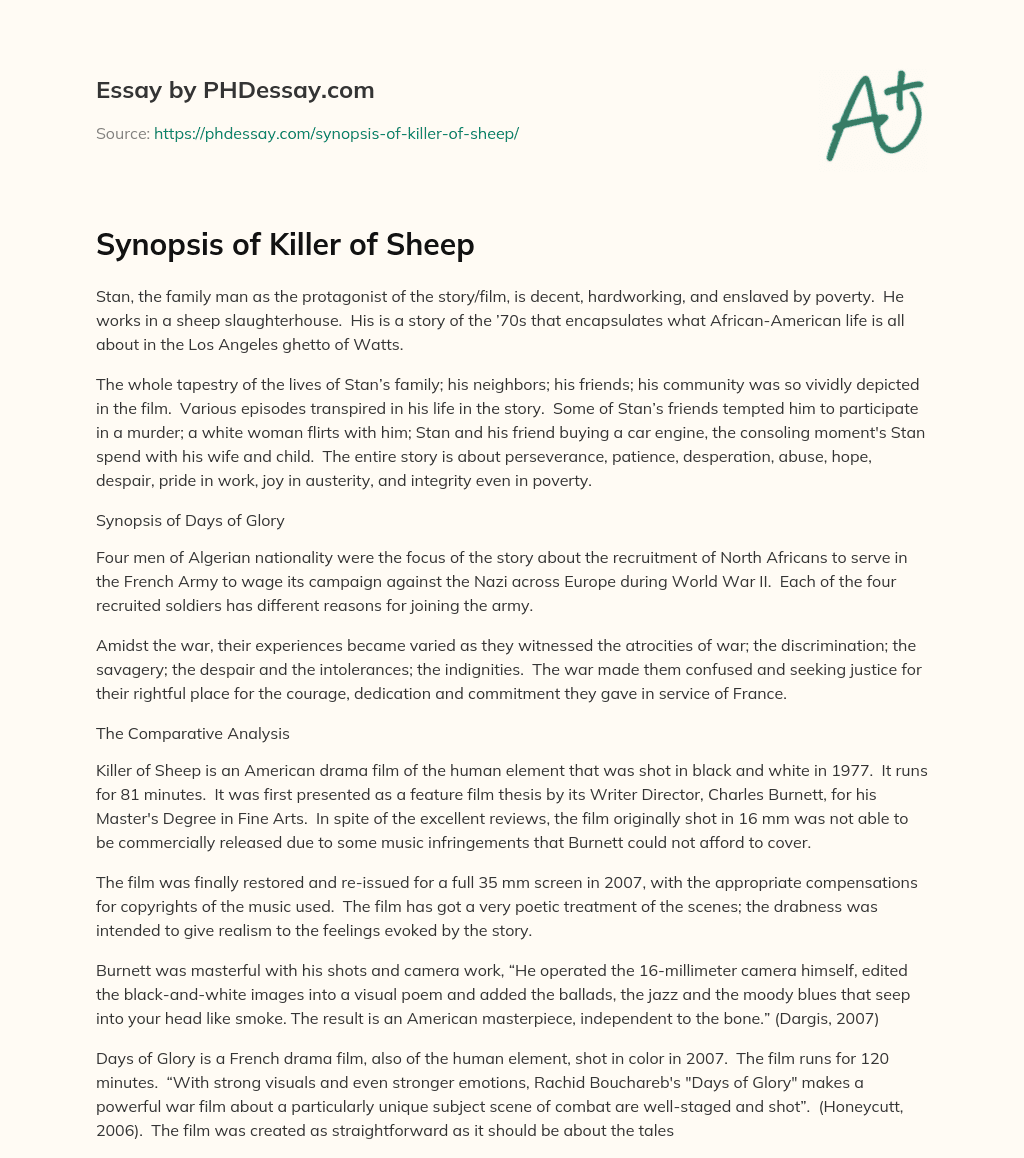 Synopsis of Killer of Sheep essay