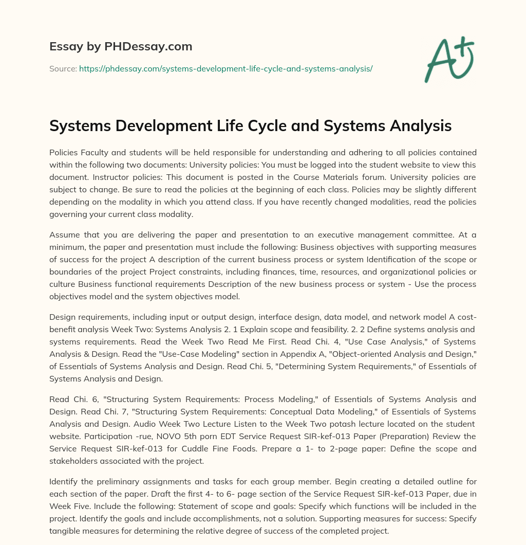 Systems Development Life Cycle and Systems Analysis essay