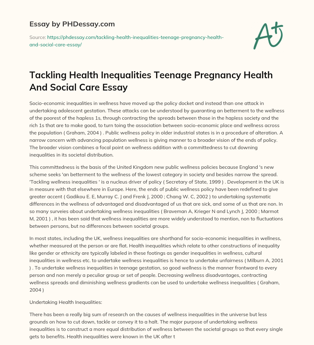 Tackling Health Inequalities Teenage Pregnancy Health And Social Care Essay essay