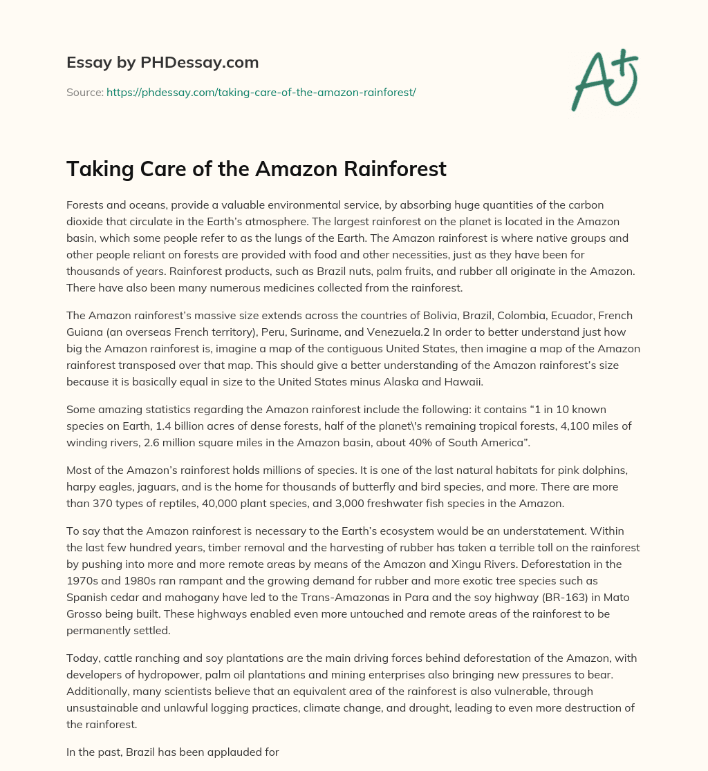 essay on amazon forest