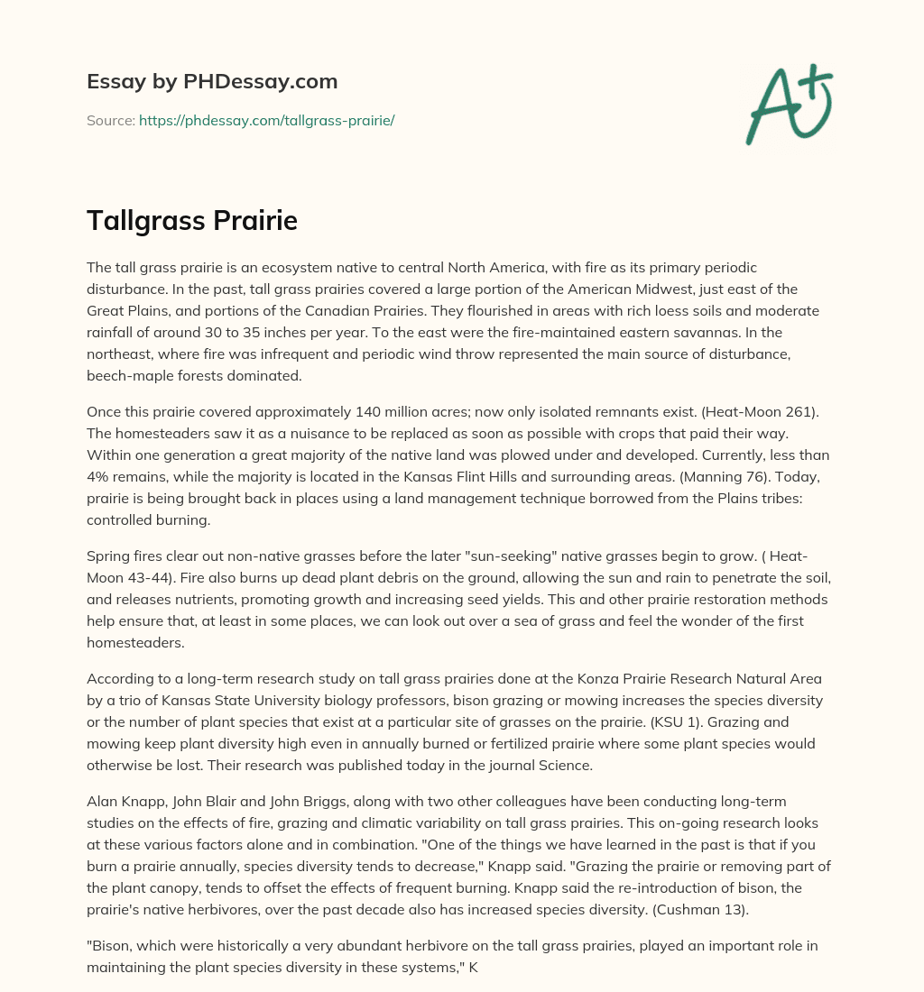 Tallgrass Prairie essay