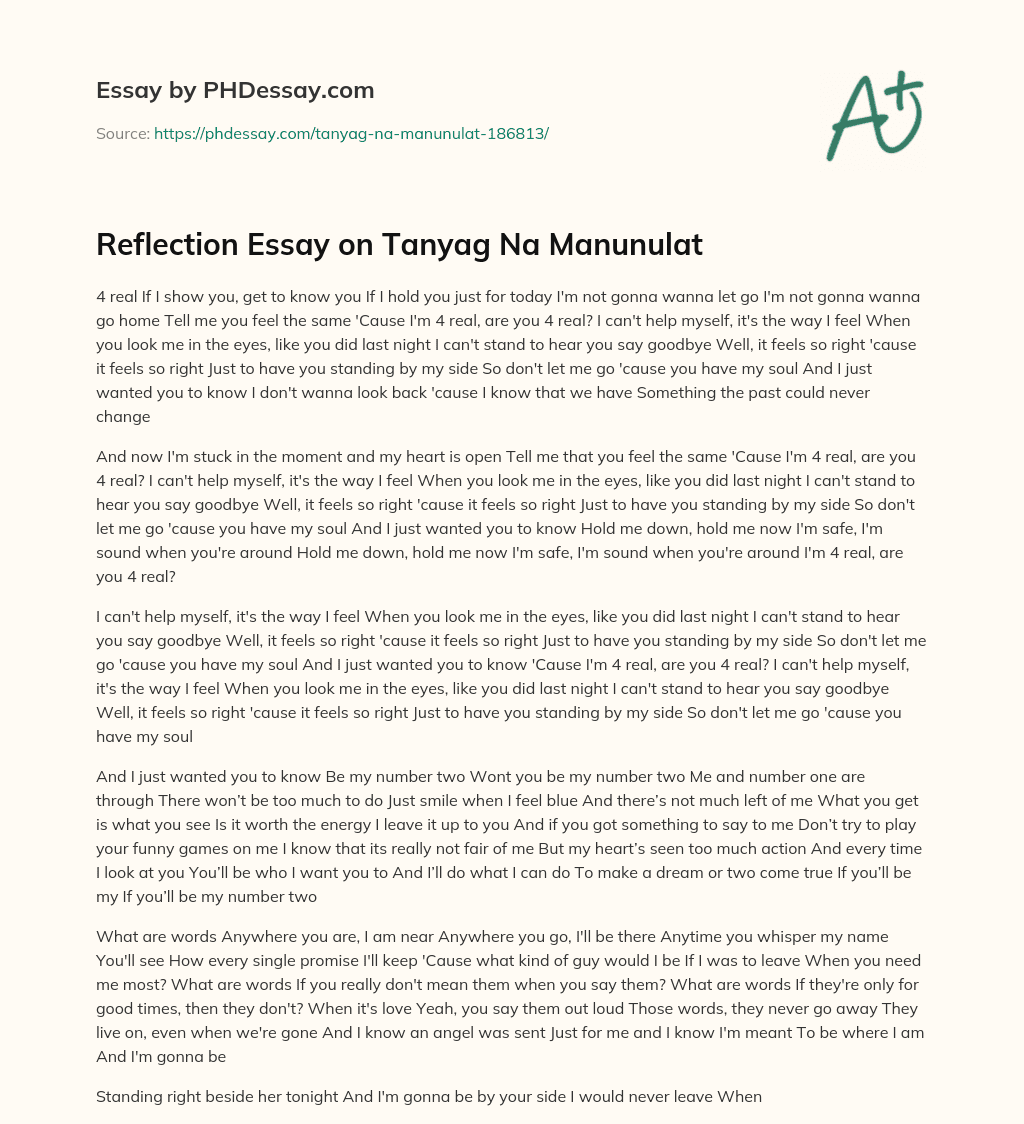 Reflection Essay on Tanyag Na Manunulat essay