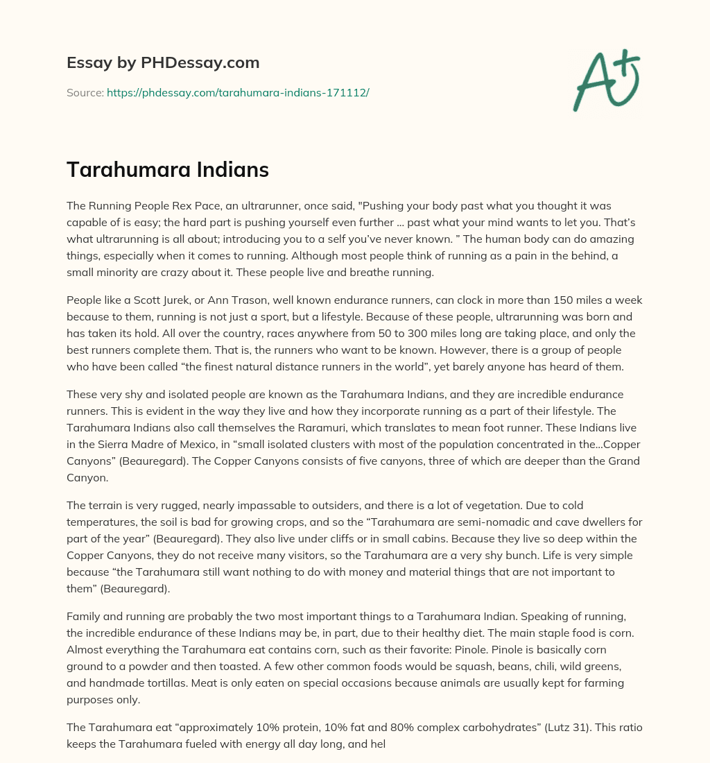 Tarahumara Indians essay