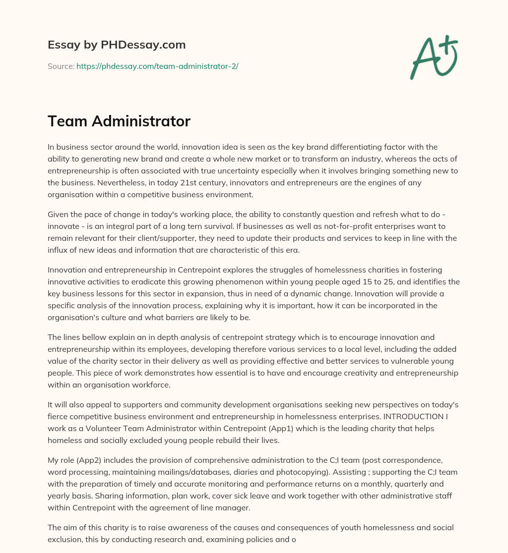 Team Administrator essay