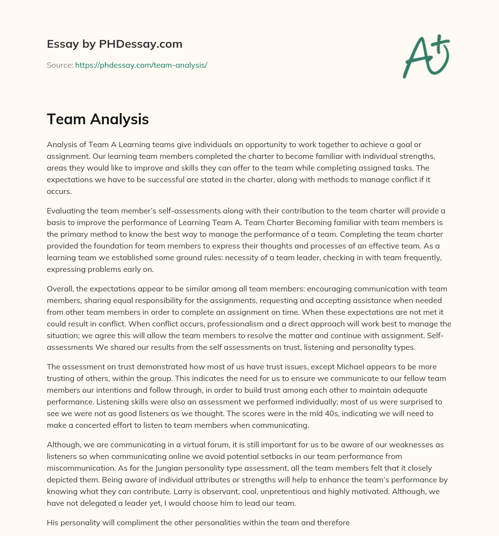 Team Analysis essay