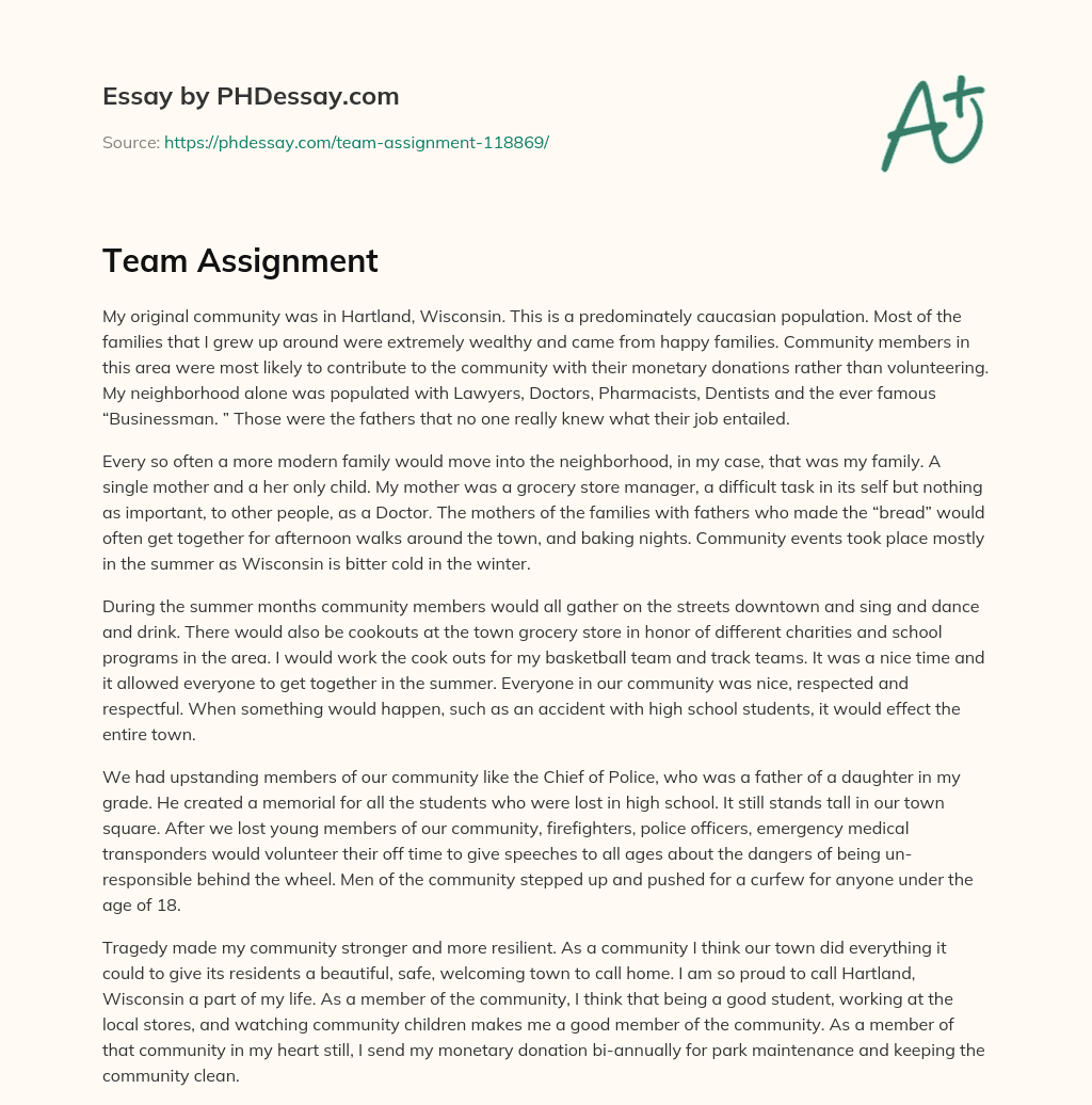 Team Assignment essay