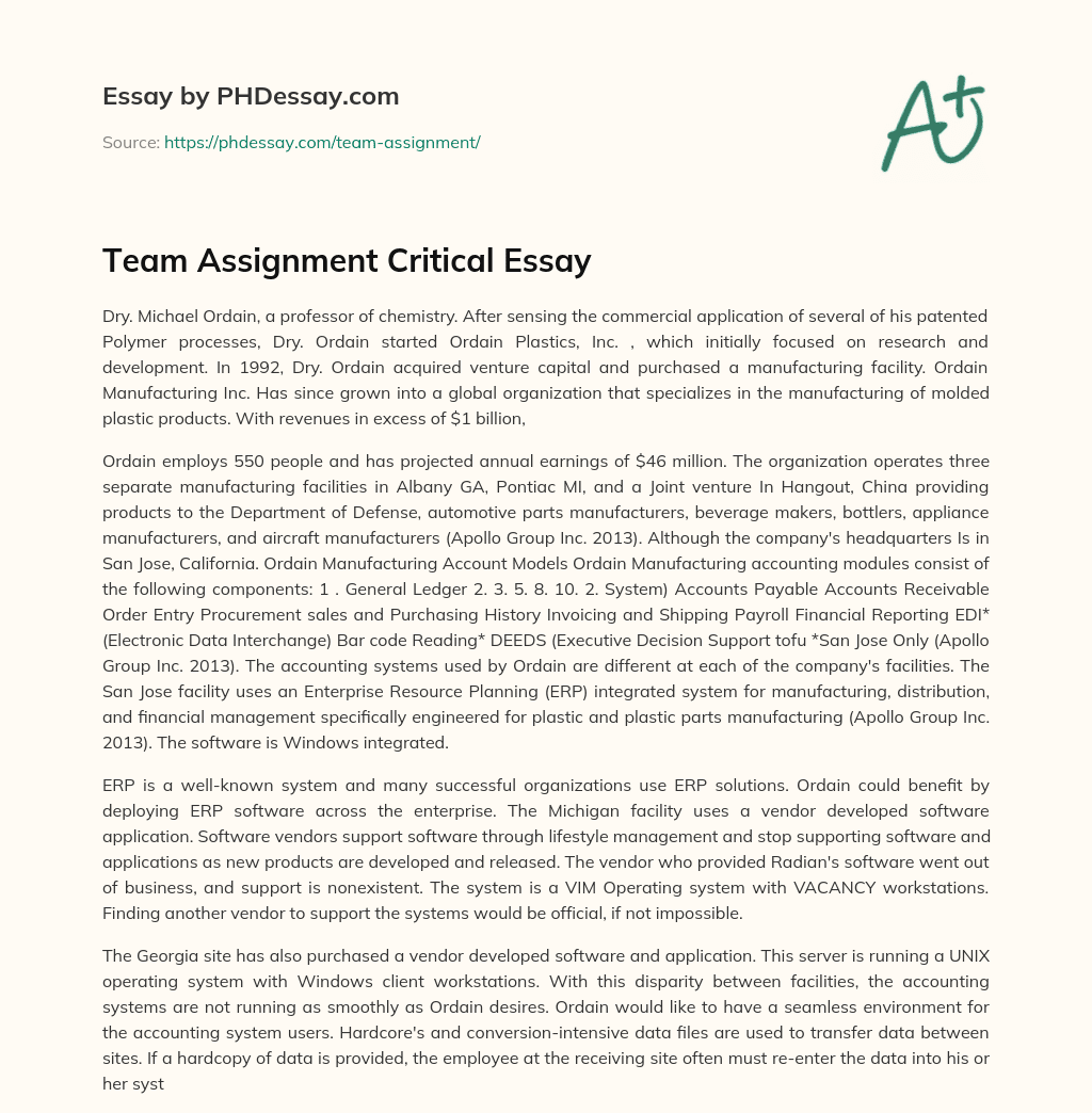 Team Assignment Critical Essay essay