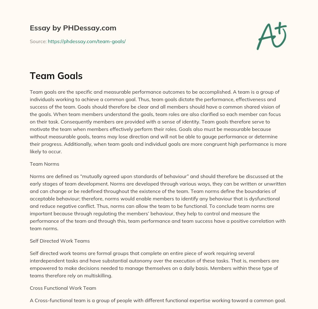 Importance of Clear and Measurable Team Goals and Norms essay