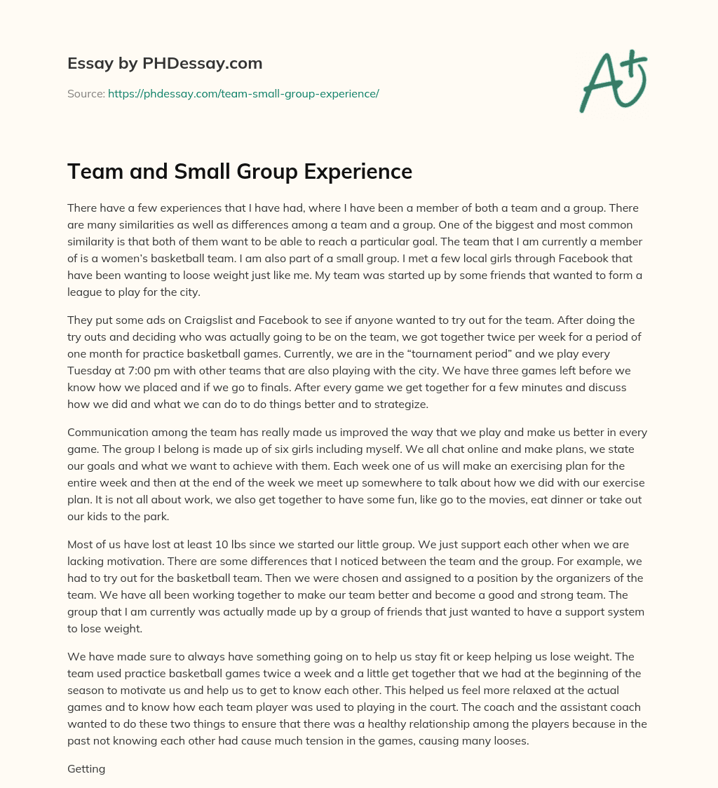 Team and Small Group Experience essay