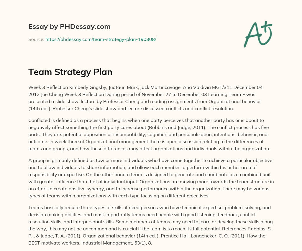 Team Strategy Plan essay