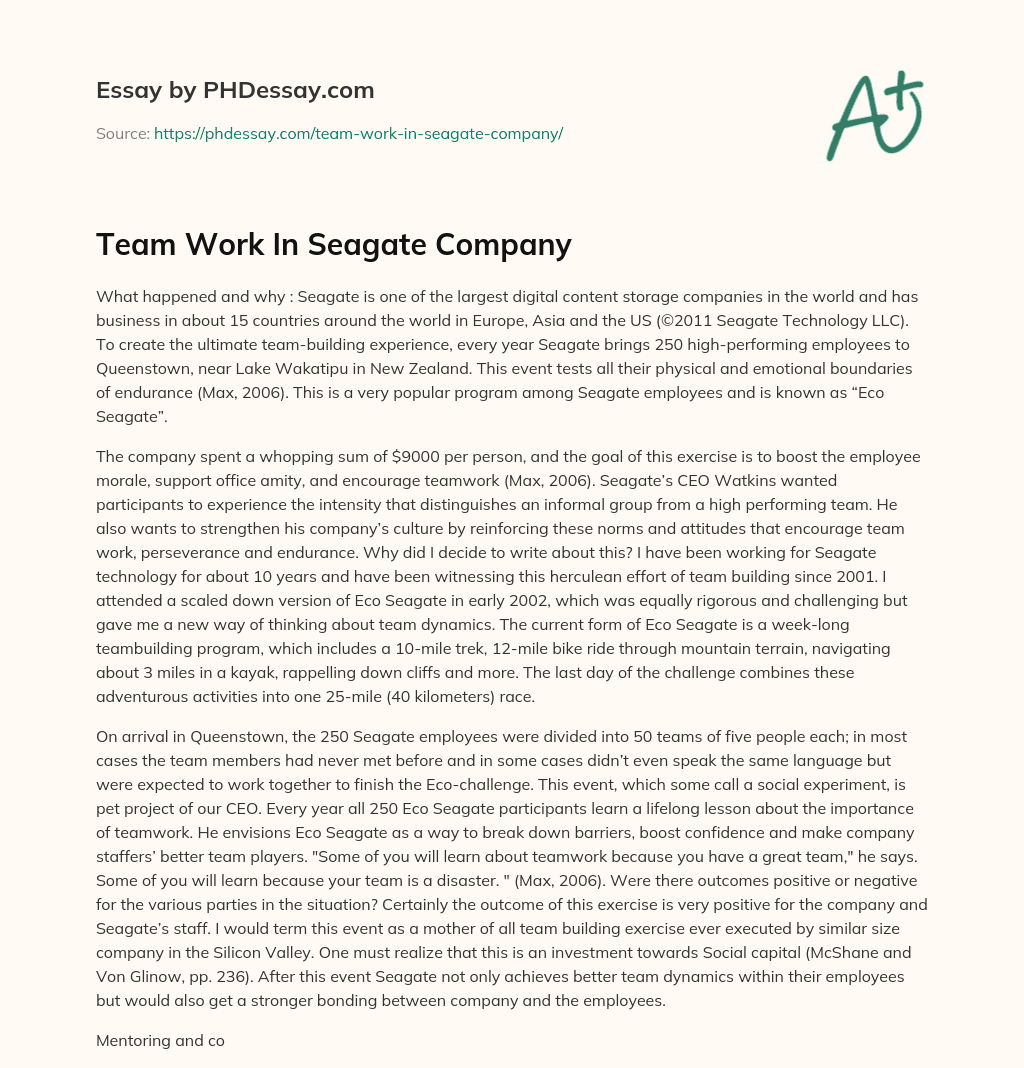 Team Work In Seagate Company essay