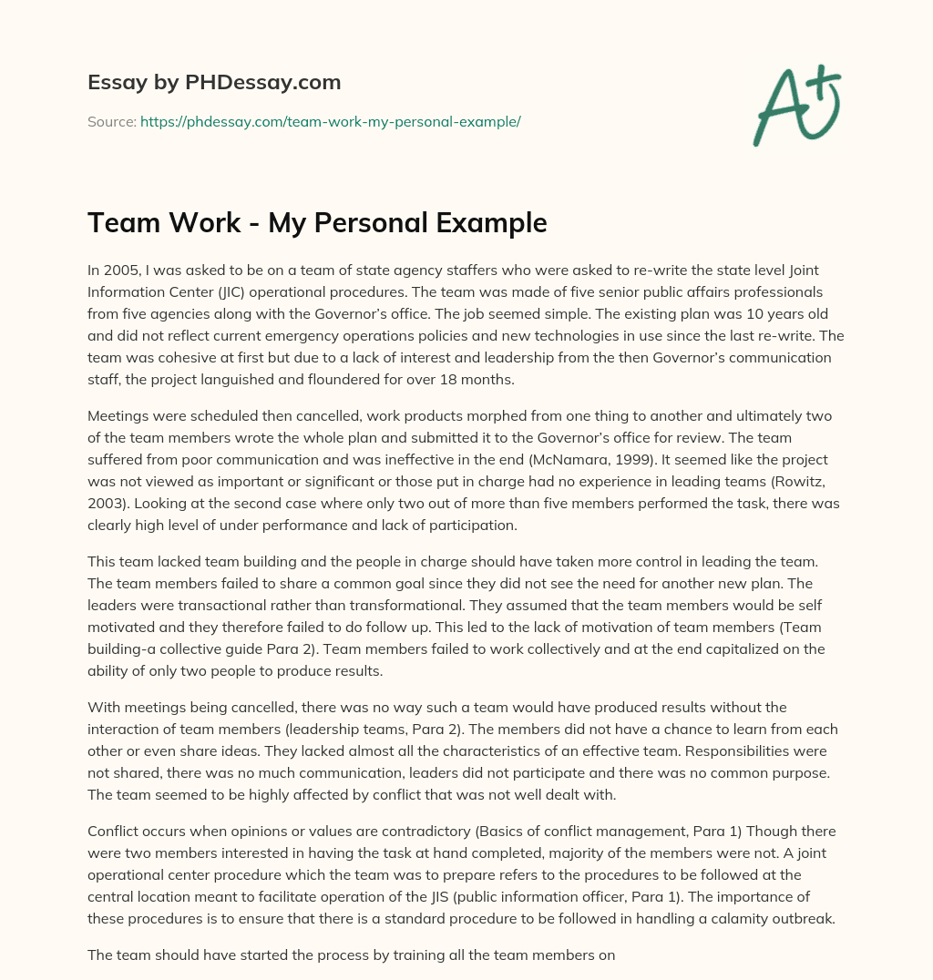 Team Work – My Personal Example essay