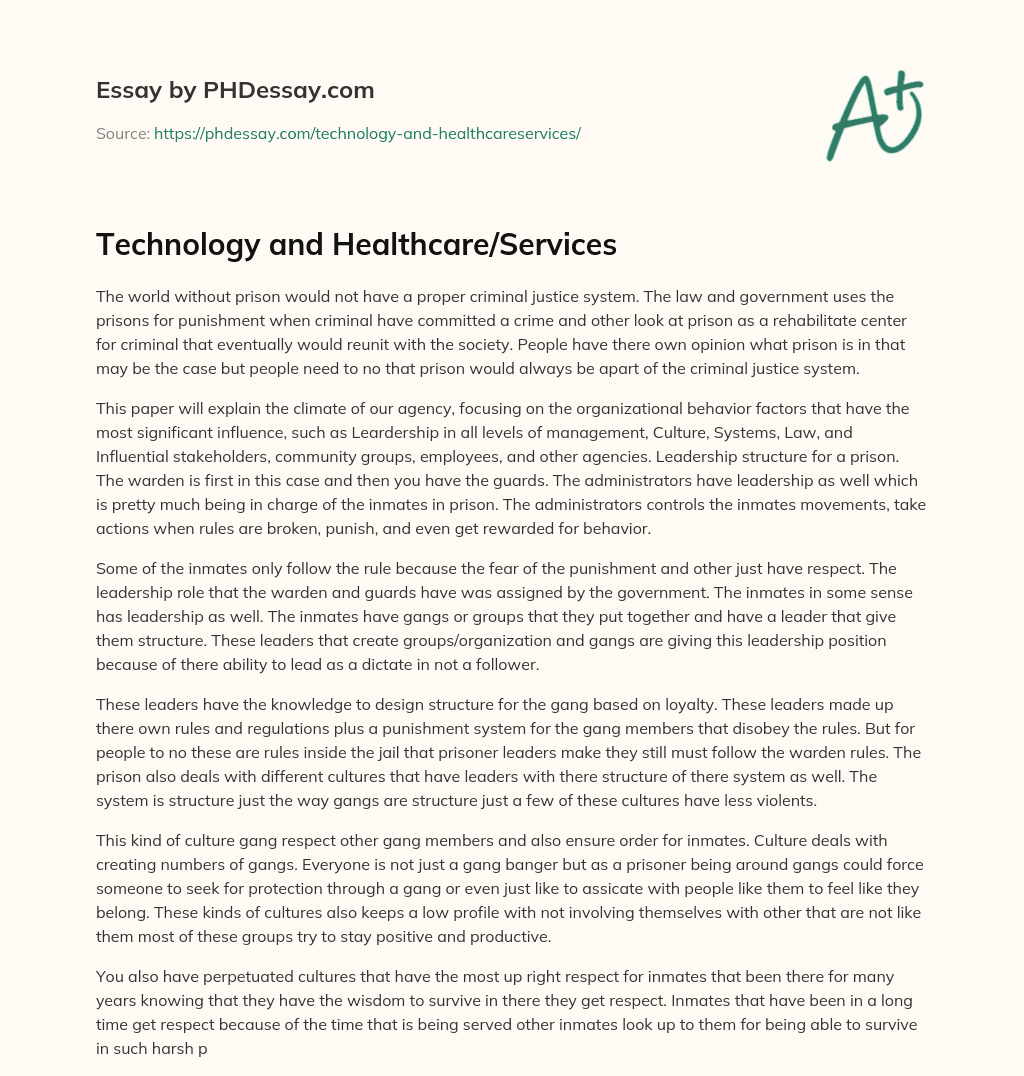 Technology and Healthcare/Services essay