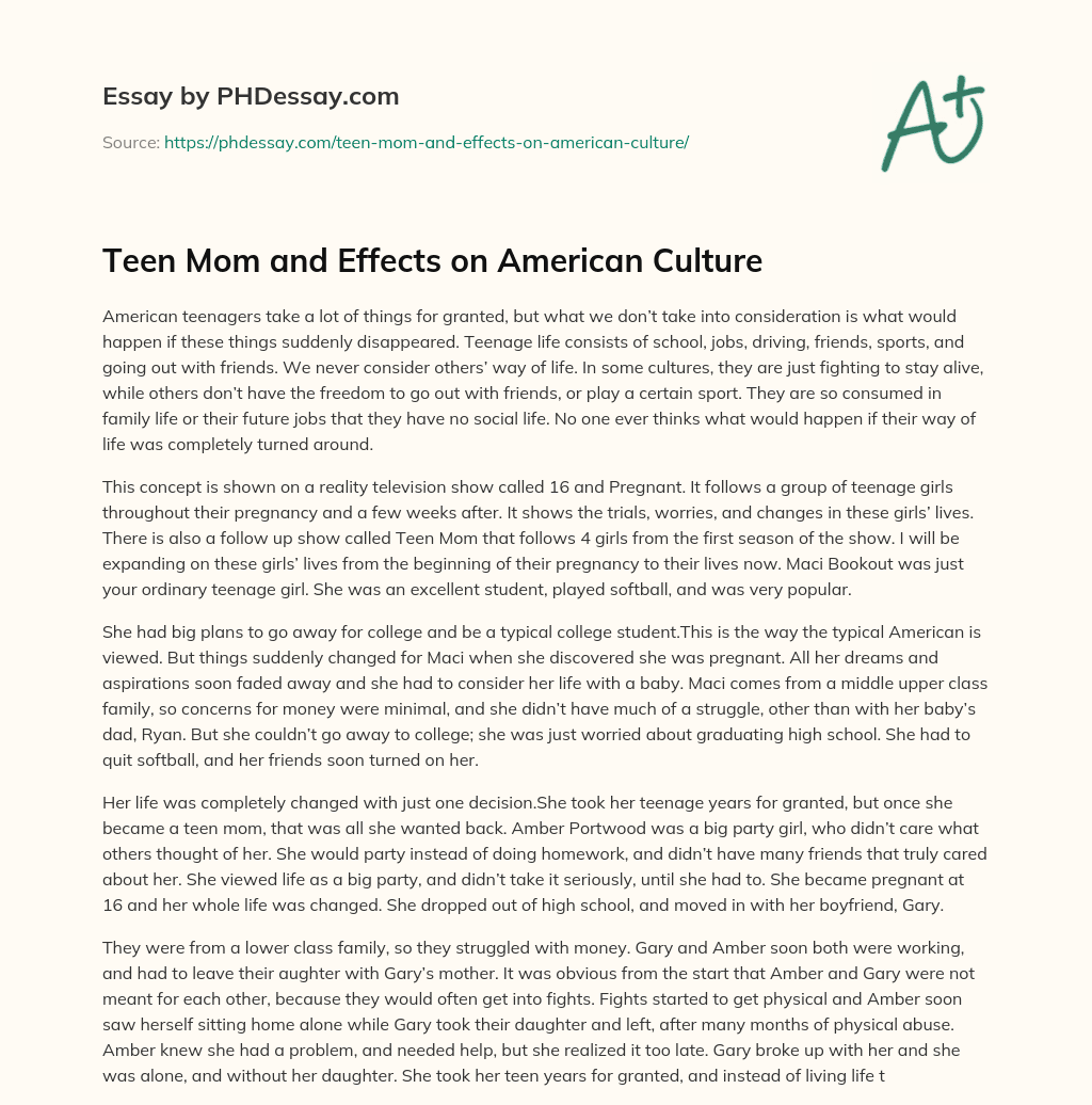 Teen Mom and Effects on American Culture essay