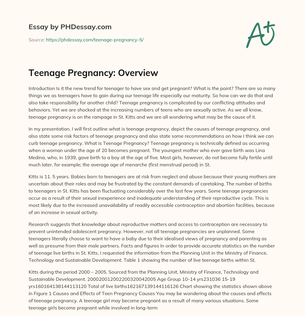 Teenage Pregnancy: Overview essay