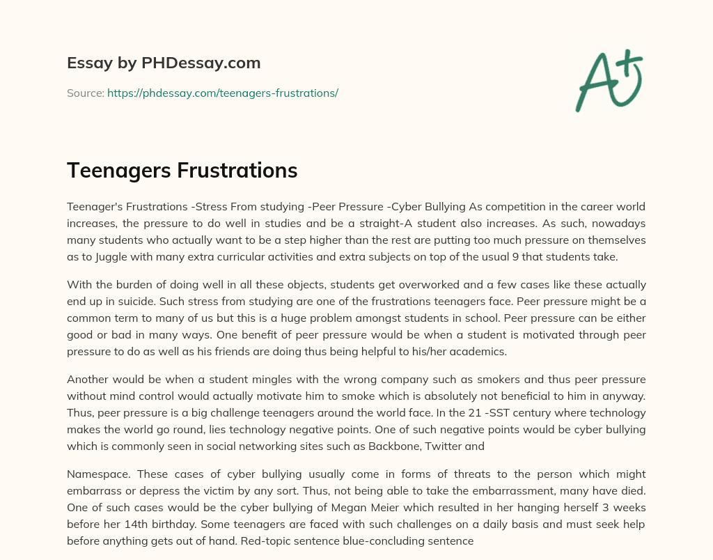 Teenagers Frustrations essay
