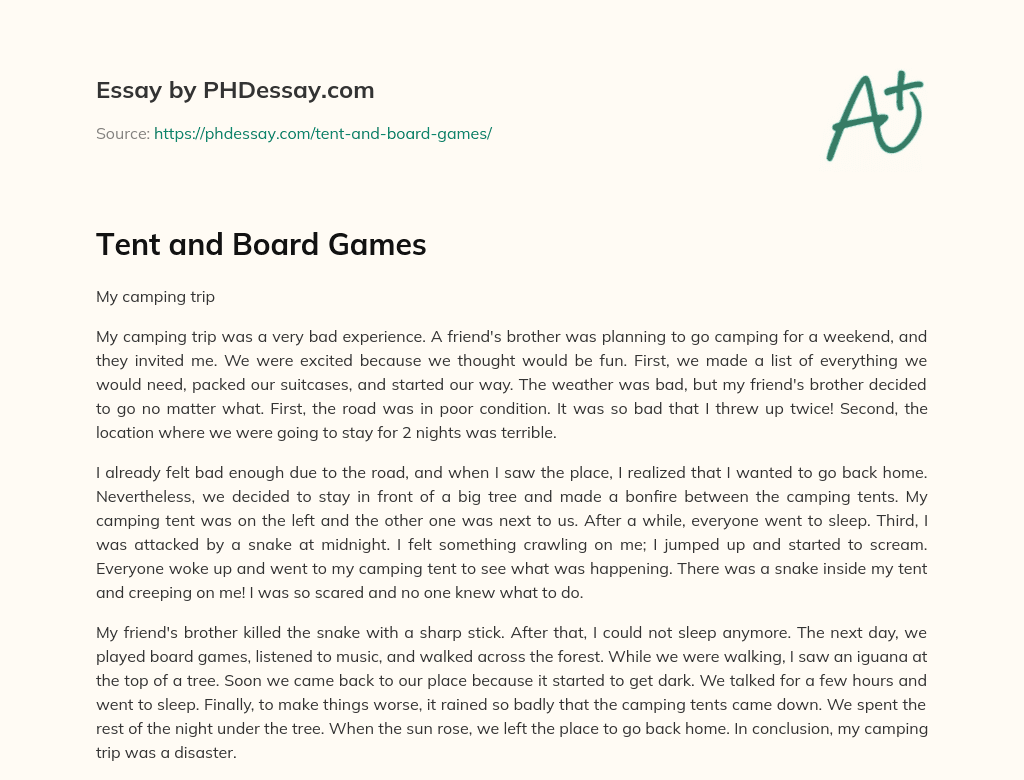 Tent and Board Games essay