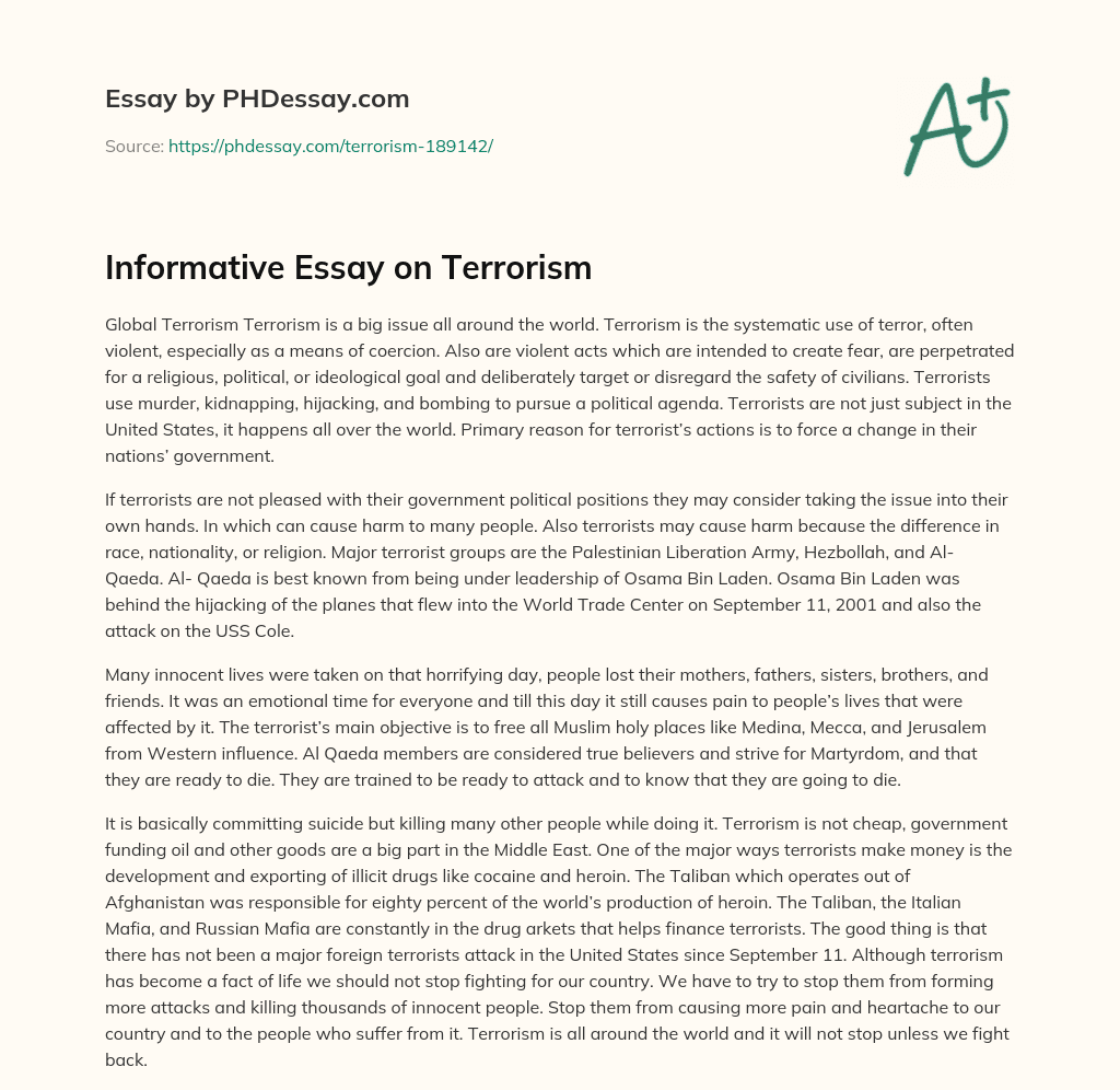 Informative Essay on Terrorism essay