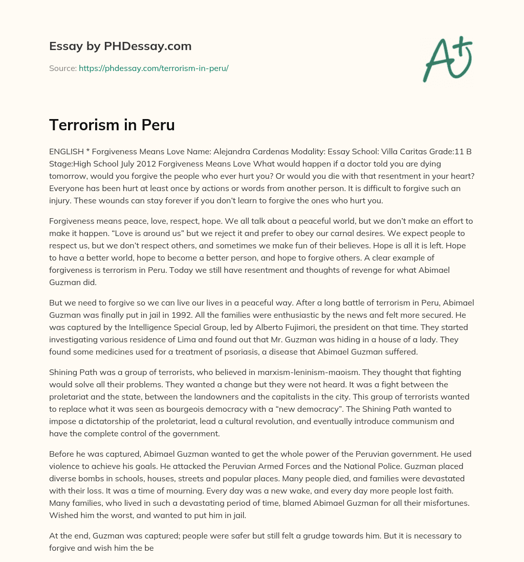 Terrorism in Peru essay