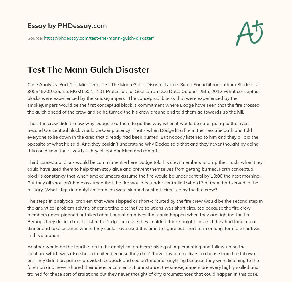Test The Mann Gulch Disaster essay