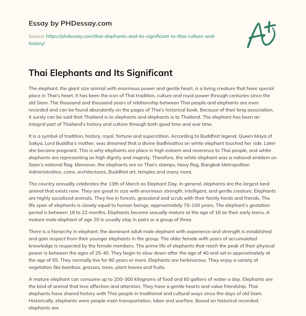 Thai Elephants and Its Significant essay