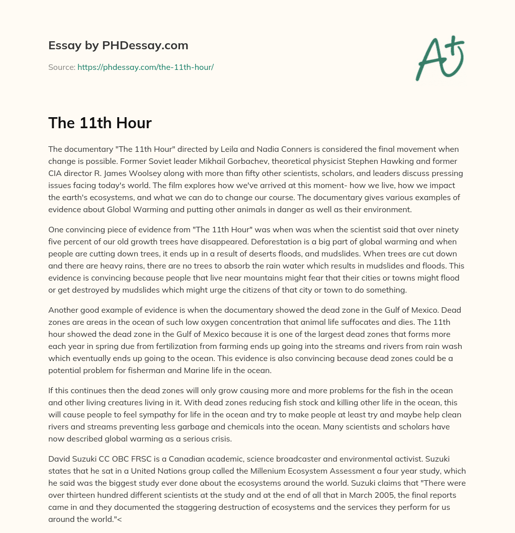 The 11th Hour essay