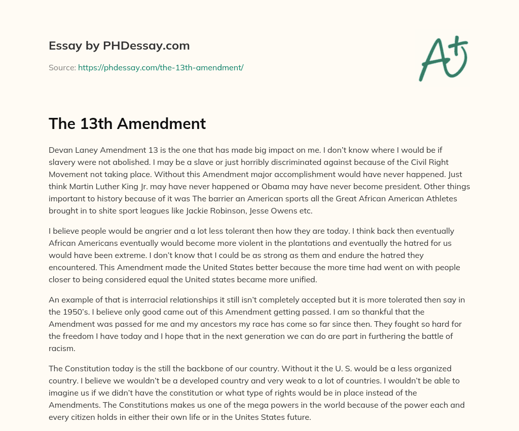 The 13th Amendment essay