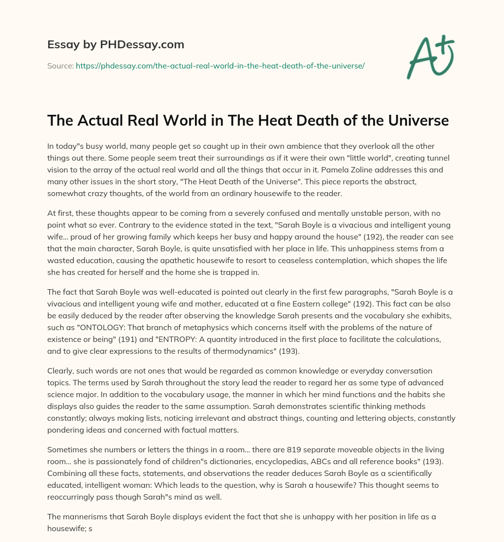 The Actual Real World in The Heat Death of the Universe essay