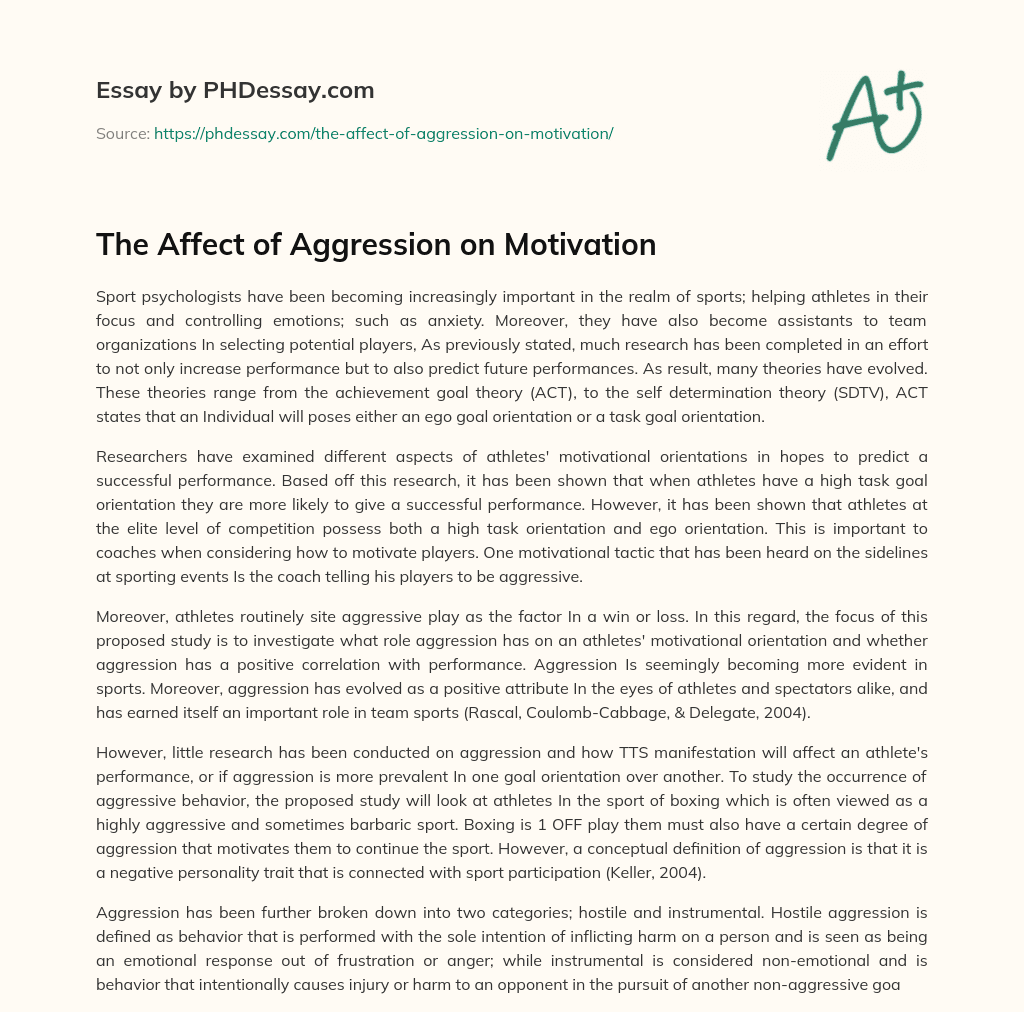 The Affect of Aggression on Motivation essay